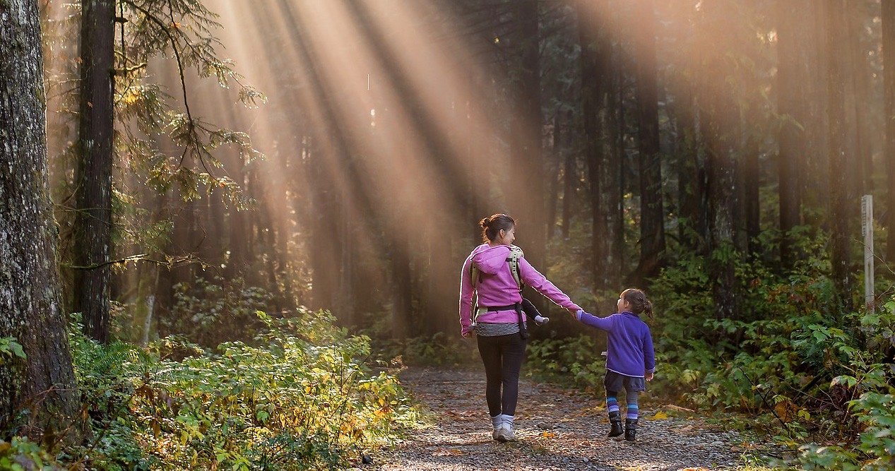 Fertility and Parenting. Parent and child in forest 2 to 1